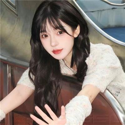 单身汉与时髦女郎 封面