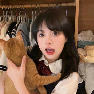 猫贼 封面